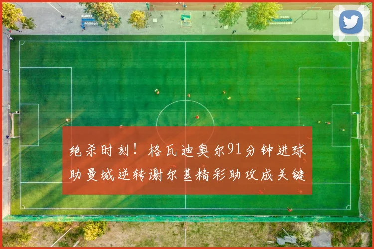 绝杀时刻！格瓦迪奥尔91分钟进球助曼城逆转谢尔基精彩助攻成关键