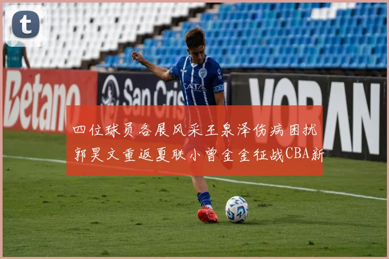 四位球员各展风采王泉泽伤病困扰郭昊文重返夏联小曾金金征战CBA新赛季
